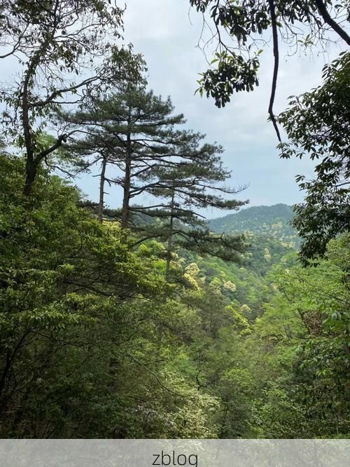 开化：钱江源头的零感染孤岛与地理屏障下的防疫实践_47307