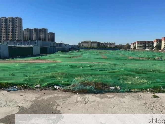 大兴区：首都南大门在疫情风暴中的地理防线