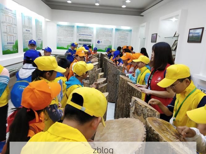 带岭区：小兴安岭屏障下的零感染坚守