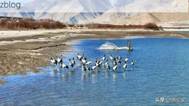 祁连雪线之上的零感染：高原屏障如何隔绝病毒蔓延