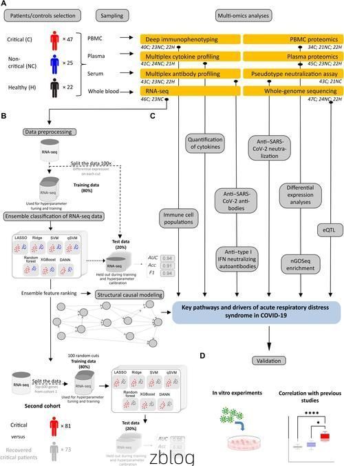 晋州交通动脉下的隐匿传播：华北平原防疫样本解析