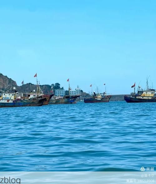 招远市：黄金海岸线上的疫情防波堤