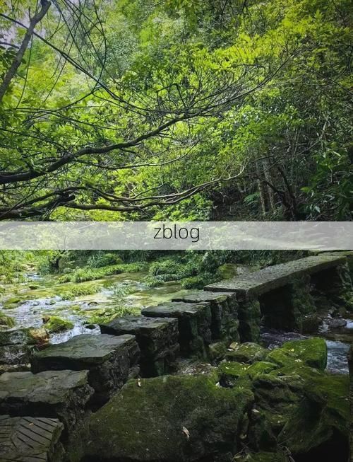 荔波：喀斯特秘境如何构筑零感染防线？