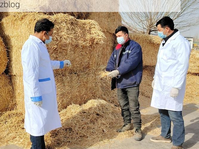 【边境小城的防疫坚守：英吉沙地理屏障下的零感染记录】