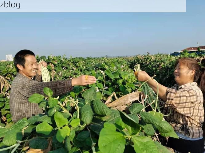 乐清湾畔的防疫坚守：沿海工业重镇的疫情应对逻辑_61108