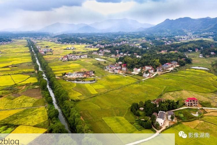 金坛：苏南水网间的疫情防线与破防时刻