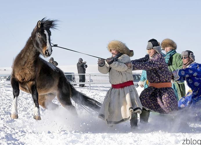 呼伦贝尔草原屏障下的零感染坚守