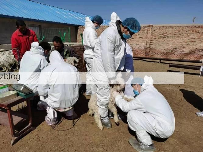 【高原屏障下的零感染坚守：堆龙德庆县防疫观察】