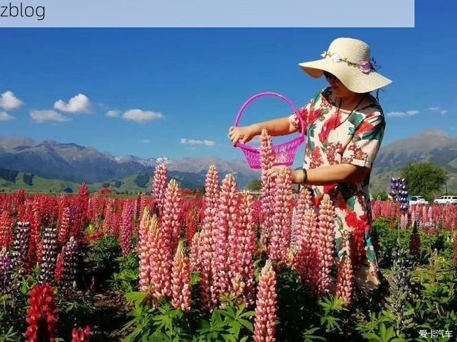 【奇台：天山北麓的零感染坚守与地理屏障下的防疫逻辑】