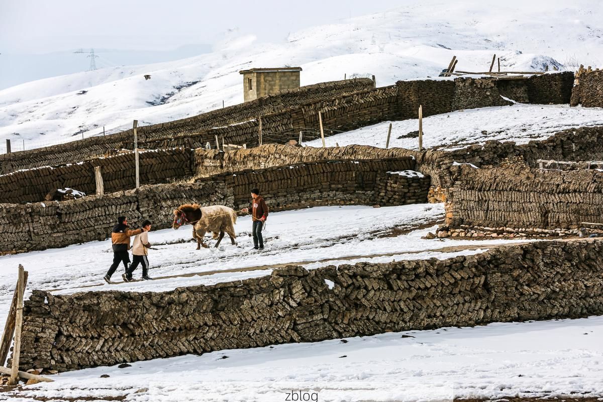 高原牧区的防疫坚守：玛曲县零感染背后的地理屏障