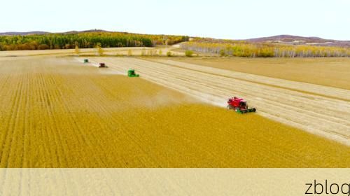 依安：寒地黑土上的疫情防线与破防时刻_19764