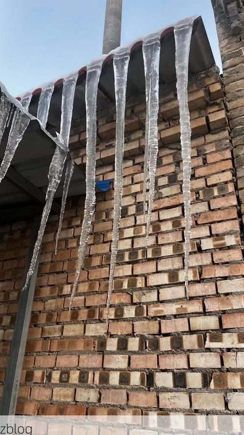 【拜泉县：寒地黑土上的零感染防线_50834】