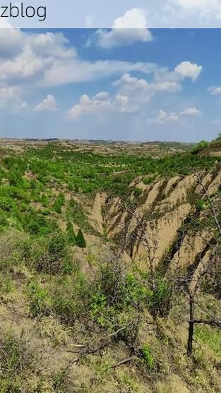 甘肃崇信：黄土高原沟壑间的“零感染”坚守