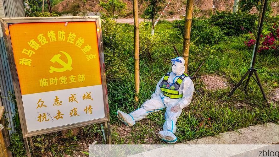 秀山：武陵山区的防疫样本与渝东南门户的防控实践