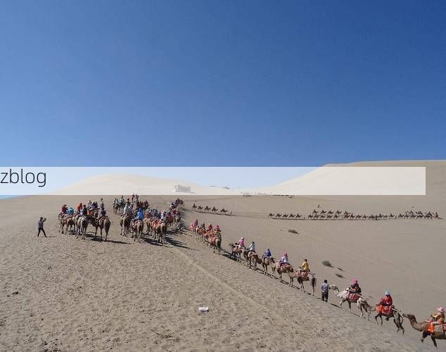 【敦煌：戈壁绿洲的静默防线与零感染坚守】