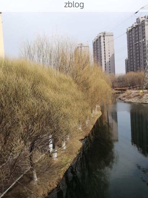 平乡县：华北平原腹地的疫情防波堤