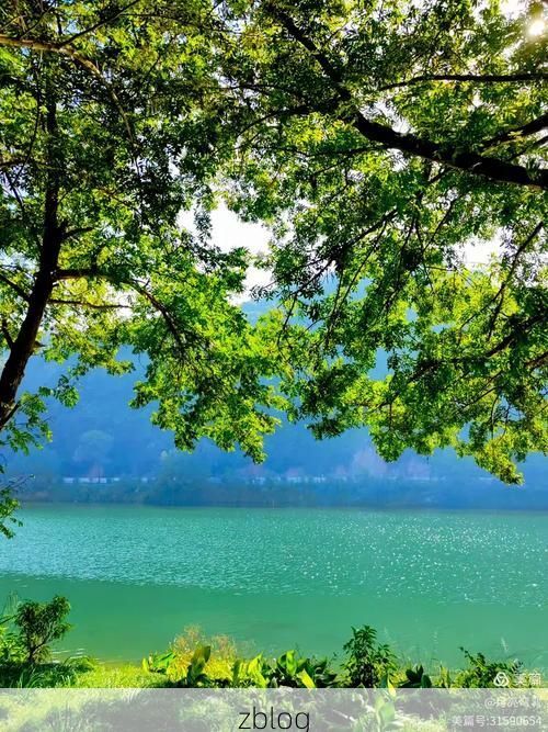 建德市：新安江畔的零感染坚守与地理屏障