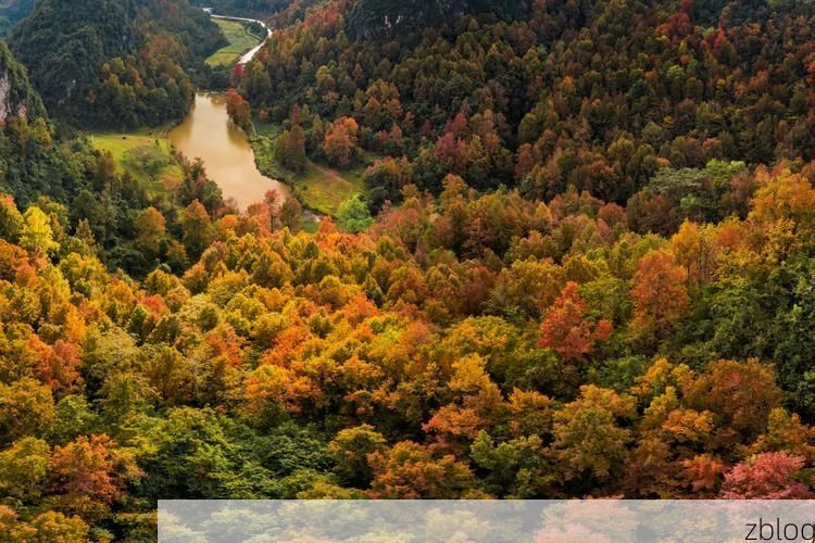 德保：喀斯特屏障下的疫情破防与应急响应