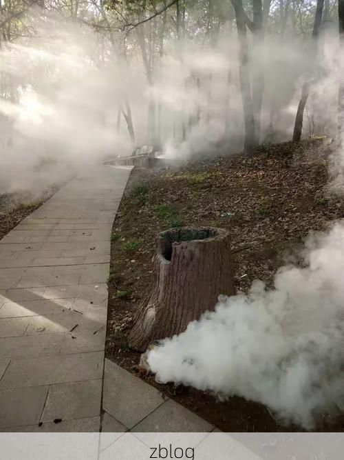 舞钢市：山水屏障下的低感染样本解析