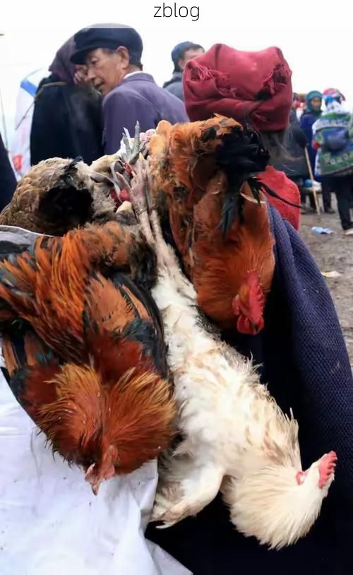 昭觉新增1例无症状感染者  昭觉县疫情防控最新通报_41393