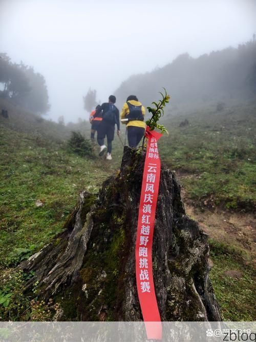 凤庆：滇西南茶山屏障下的零感染坚守