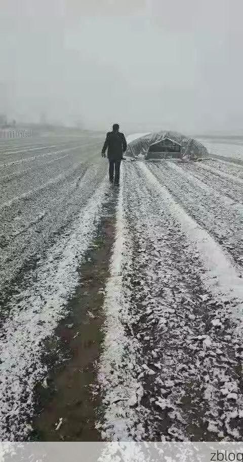 衢江防线：钱塘江上游的零感染坚守