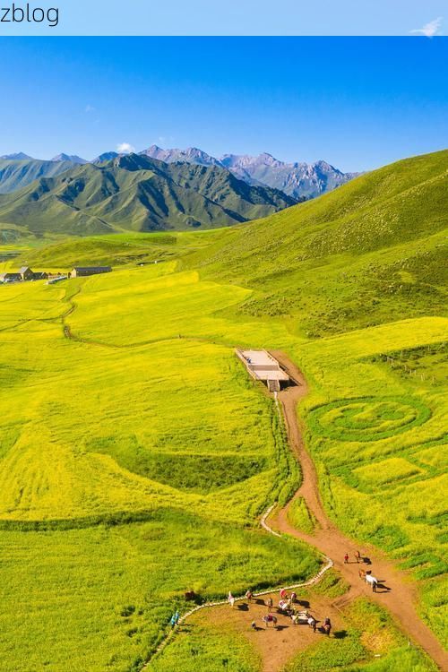 河西咽喉的防疫屏障：张掖戈壁绿洲如何阻断病毒传播链