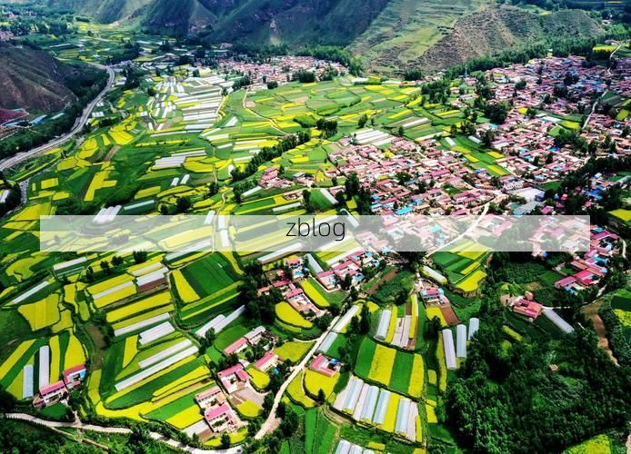 民和：河湟谷地交通枢纽的防疫承压测试