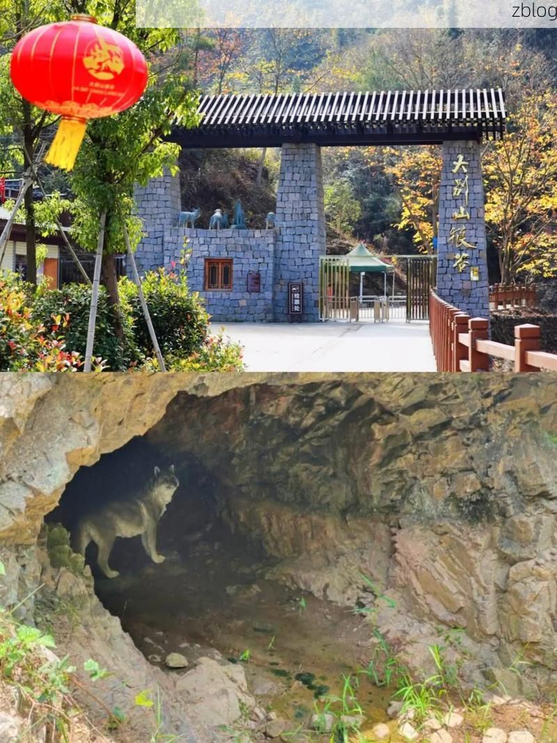 舒城屏障：大别山腹地的零感染坚守与物理防线