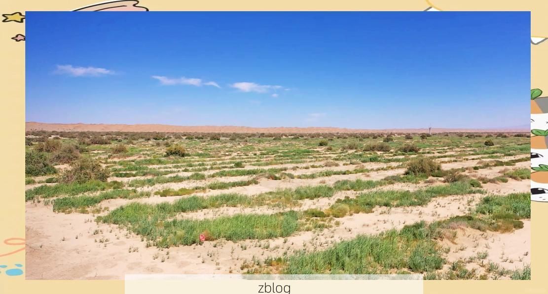 酒泉市辖区：戈壁绿洲屏障下的防疫坚守