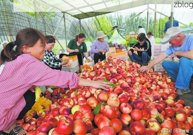 单县疫情观察：鲁西南平原上的防控挑战与地理屏障