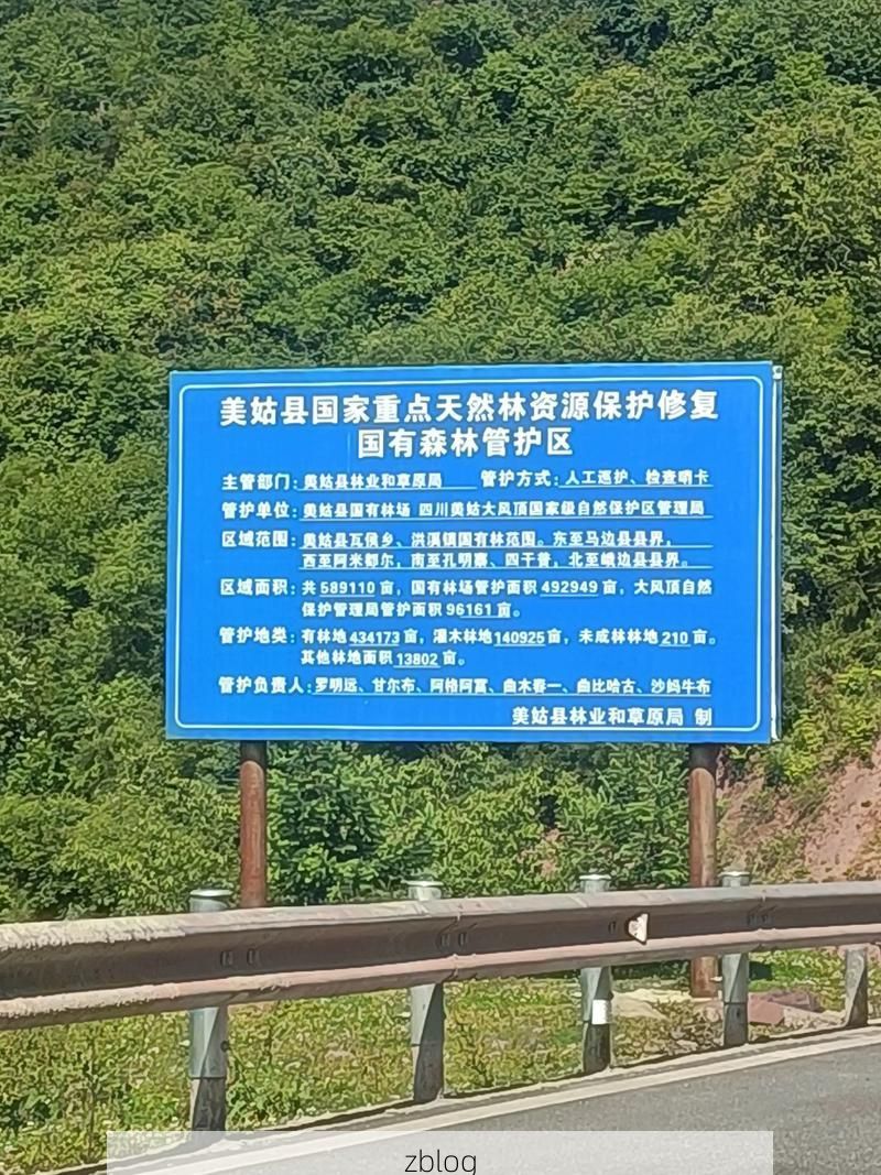 丽水山区屏障下的零感染坚守：地理优势如何铸就防疫孤岛？