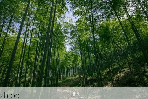 陵川：太行山脊上的零感染孤岛如何筑成？