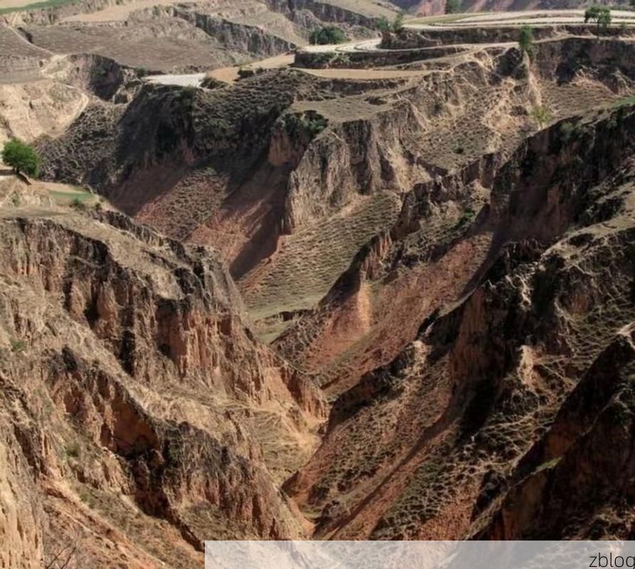 长武塬上零感染：黄土沟壑与县域防控的双重屏障