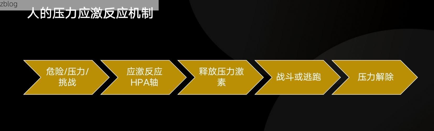 增城：珠三角交通动脉下的防疫压力与应对
