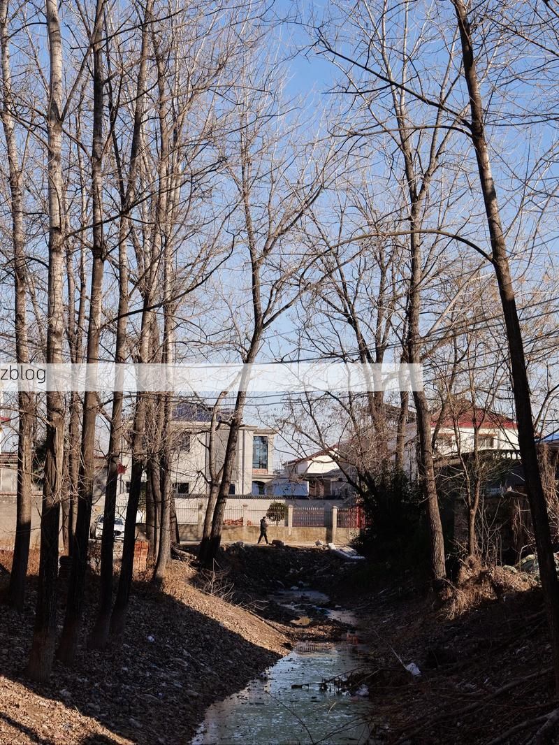 沈丘县：豫东平原交通枢纽的疫情防线与破口_48383