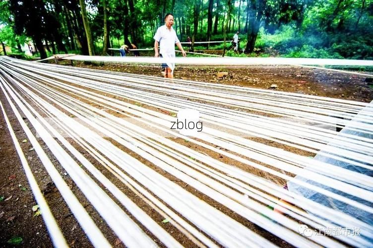 崇仁：抚河之畔的县域防疫样本解析