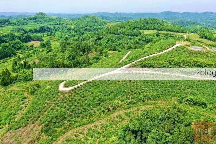 蓬溪：川中丘陵地带的疫情防线与破防时刻