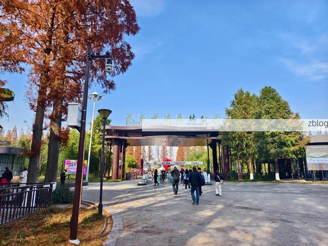 东台市：黄海之滨的防疫屏障与零感染坚守