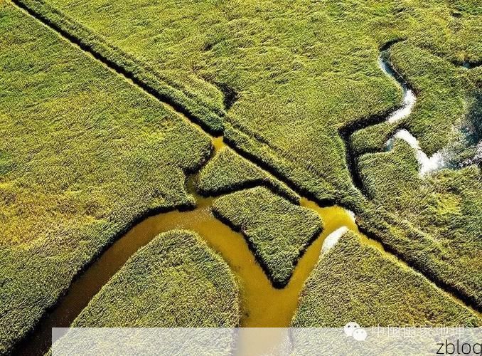 兴隆台区：辽河三角洲腹地的防疫坐标_44005