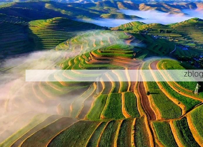 合水：黄土高原沟壑区的零感染坚守与物理防线