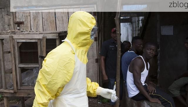 靖宇县：长白林海屏障下的零感染坚守