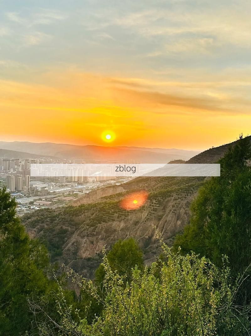 武山疫情观察：黄土高原沟壑间的防控样本