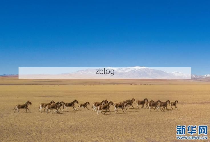 定结：高原屏障下的零感染坚守与防控逻辑