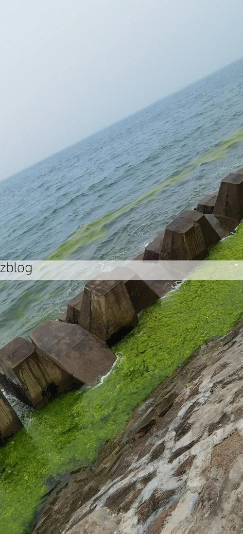 建瓯：闽北山城屏障下的疫情防波堤_19941