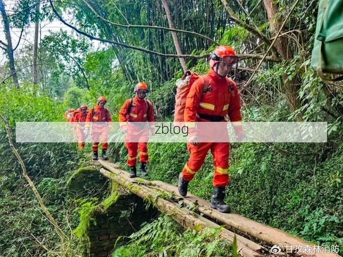 易门县：滇中绿谷的零感染坚守与物理防线