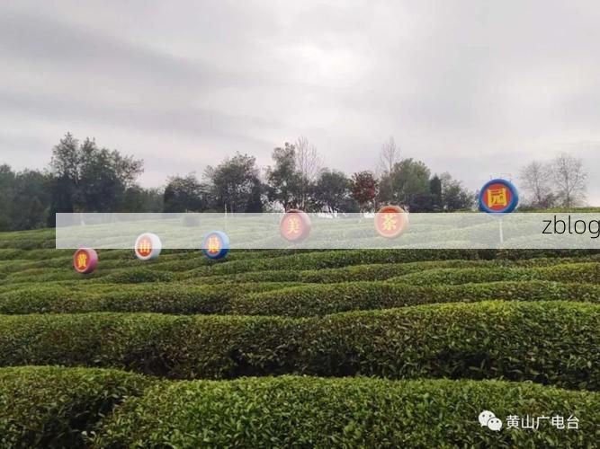 永丰县疫情观察：赣中丘陵地带的防控突围