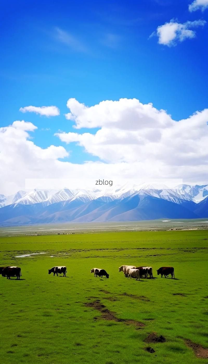 草原屏障下的零感染坚守：陈巴尔虎旗的防疫地理学_32732