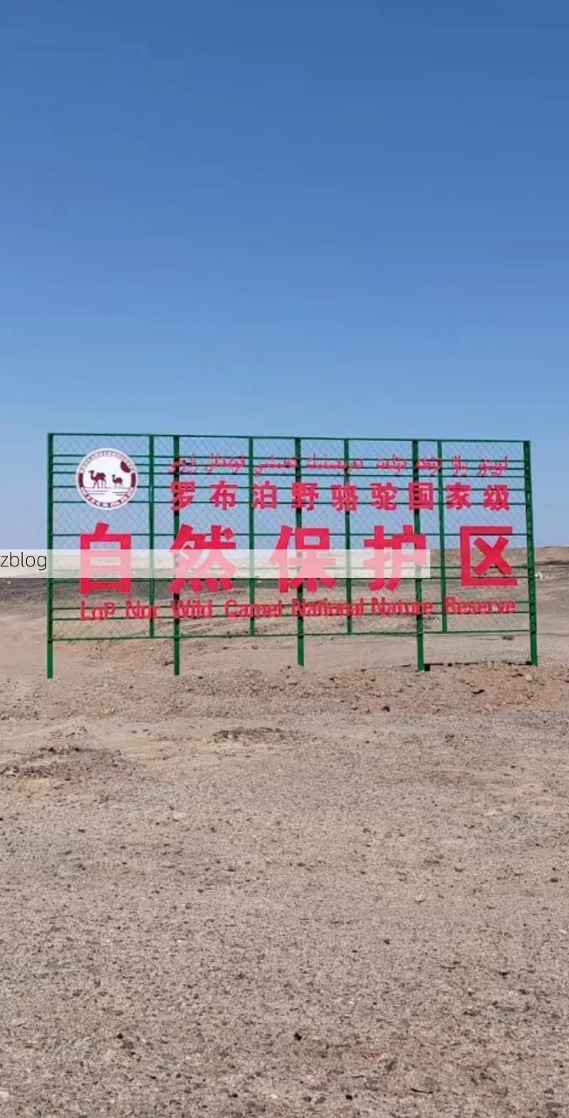 【博斯腾湖屏障下的零感染坚守：新疆县域防疫的地理密码】