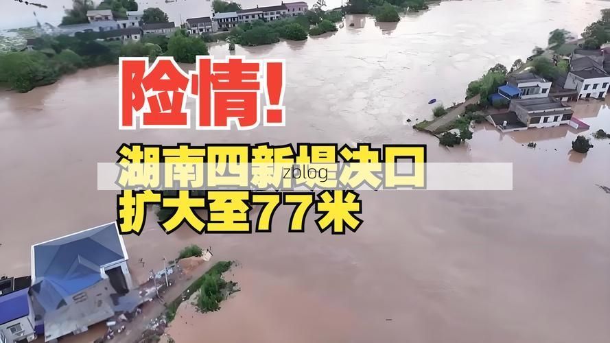 新田：湘南丘陵间的疫情防波堤与社区防控样本